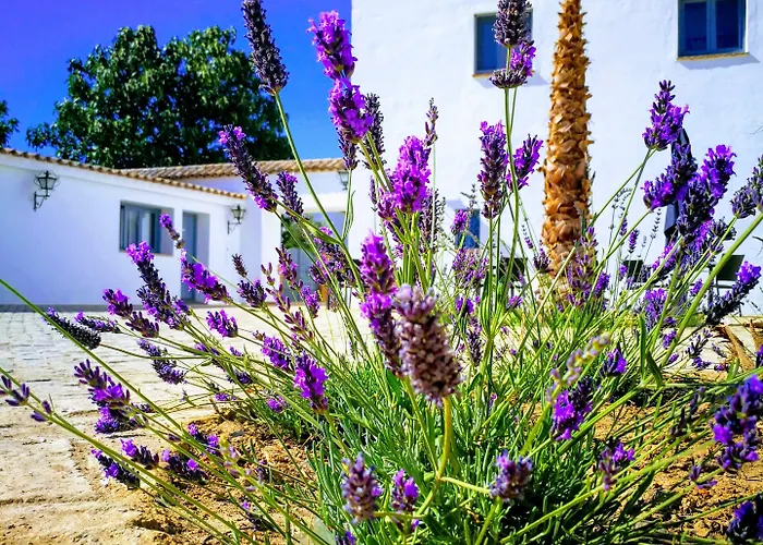 מלון Moments רונדה