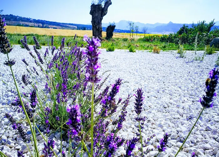 酒店 隆达时刻酒店 3*